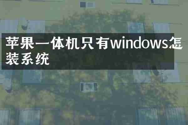 苹果一体机只有windows怎么装系统