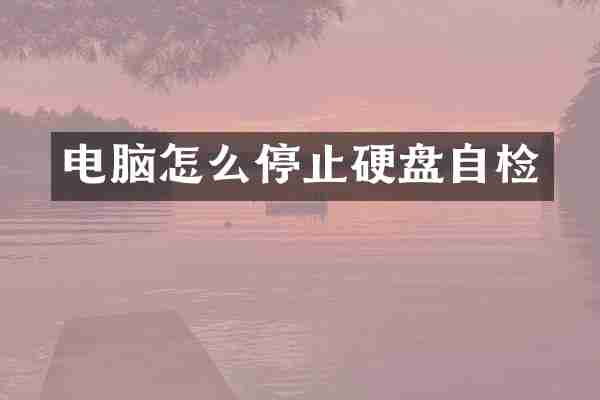 电脑怎么停止硬盘自检
