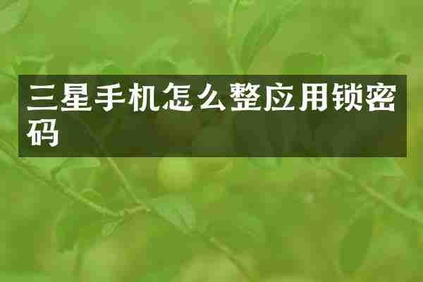 三星手机怎么整应用锁密码