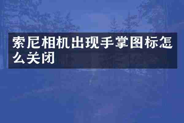 索尼相机出现手掌图标怎么关闭