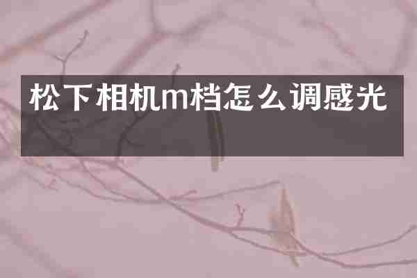 松下相机m档怎么调感光度