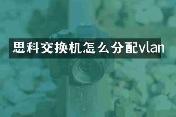 思科交换机怎么分配vlan