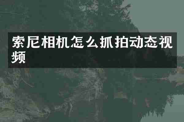 索尼相机怎么抓拍动态视频