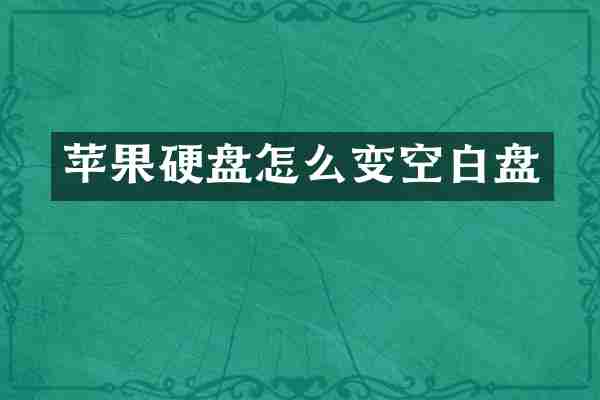 苹果硬盘怎么变空白盘