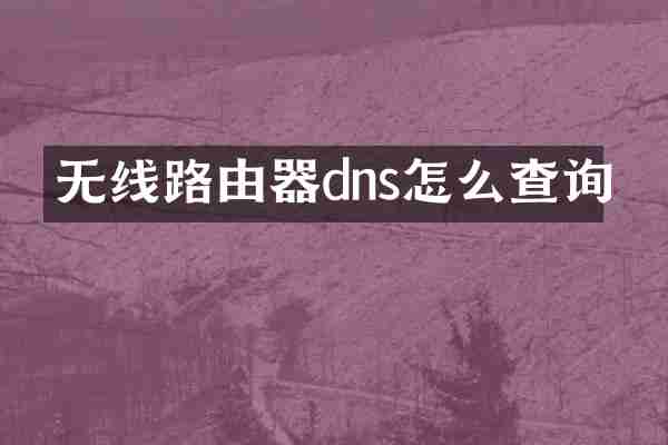 无线路由器dns怎么查询