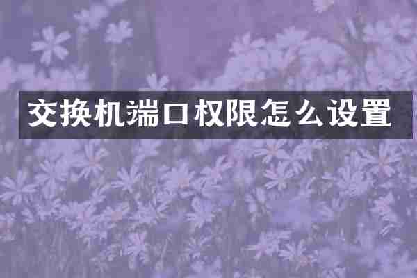 交换机端口权限怎么设置