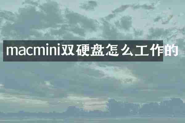 macmini双硬盘怎么工作的