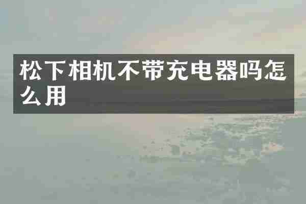 松下相机不带充电器吗怎么用