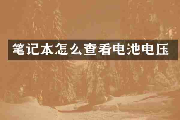 笔记本怎么查看电池电压