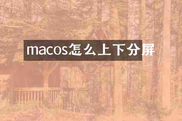 macos怎么上下分屏