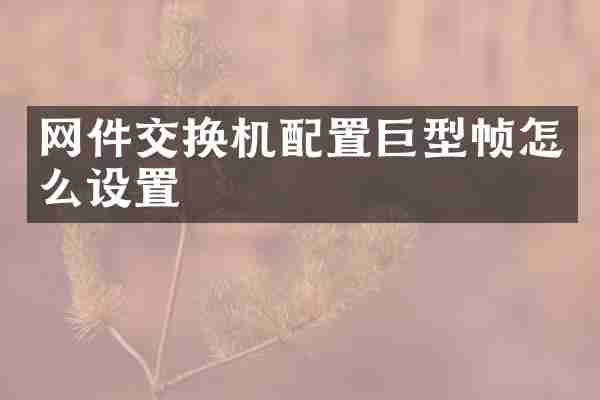 网件交换机配置巨型帧怎么设置