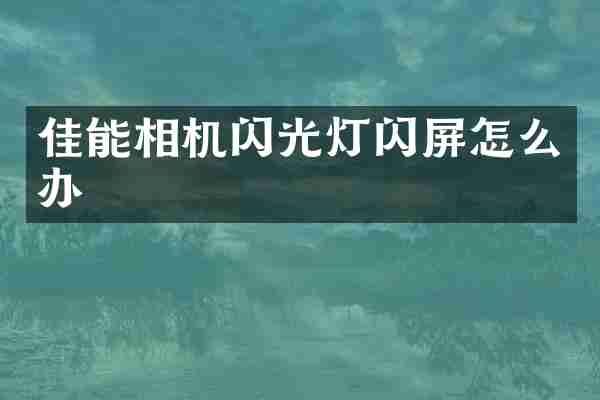 佳能相机闪光灯闪屏怎么办