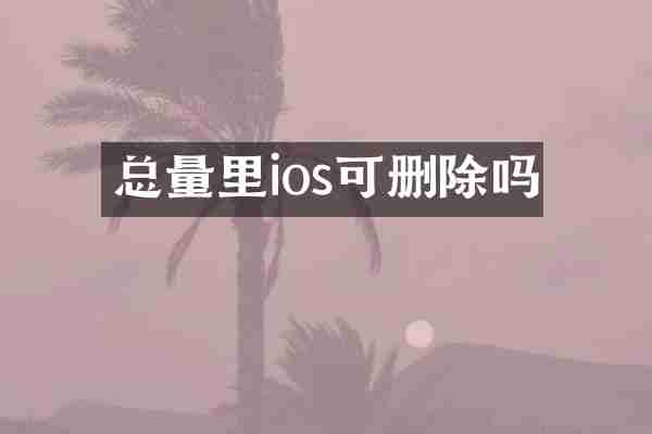 总量里ios可删除吗