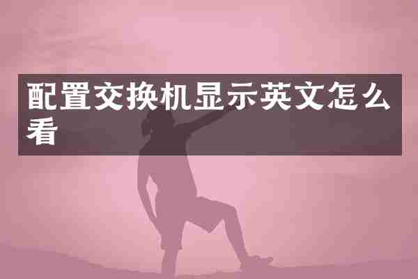 配置交换机显示英文怎么看