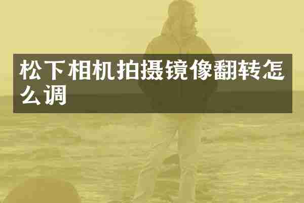 松下相机拍摄镜像翻转怎么调
