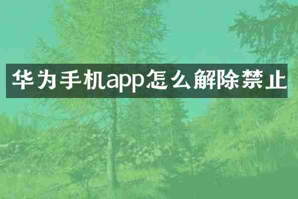 华为手机app怎么解除禁止