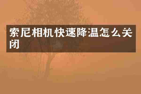 索尼相机快速降温怎么关闭