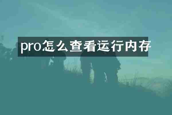 pro怎么查看运行内存
