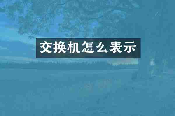 交换机怎么表示