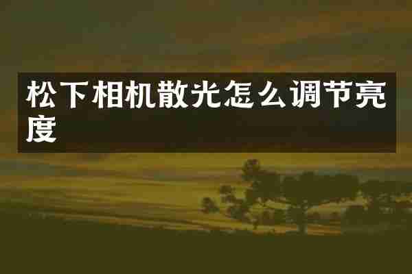 松下相机散光怎么调节亮度