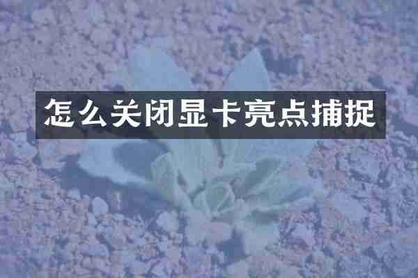 怎么关闭显卡亮点捕捉