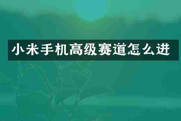 小米手机高级赛道怎么进