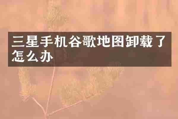 三星手机谷歌地图卸载了怎么办