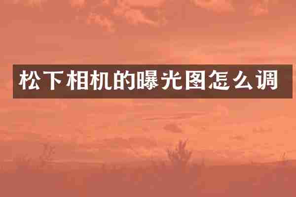 松下相机的曝光图怎么调