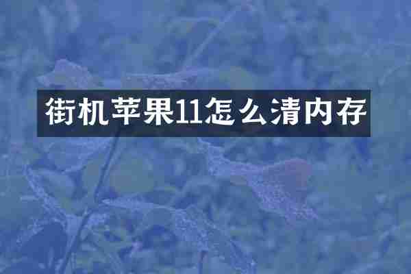 街机苹果11怎么清内存