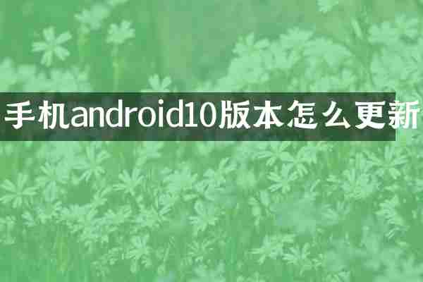 手机android10版本怎么更新
