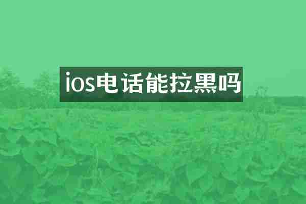 ios电话能拉黑吗