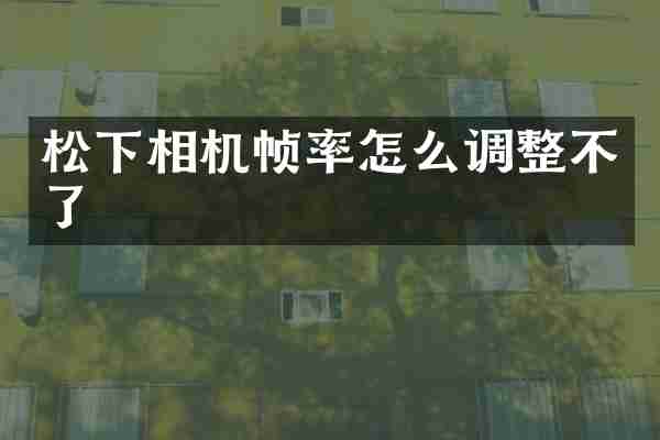 松下相机帧率怎么调整不了