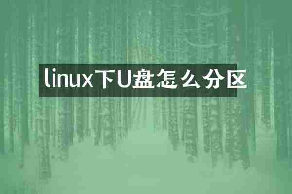 linux下U盘怎么分区