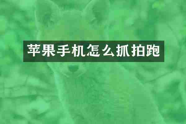 苹果手机怎么抓拍跑