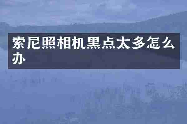 索尼照相机黑点太多怎么办
