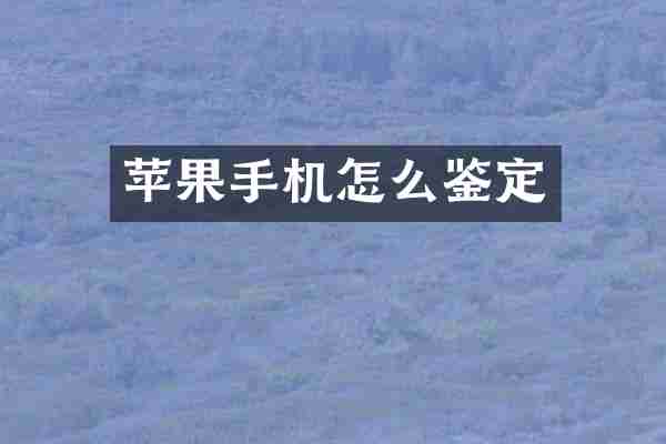 苹果手机怎么鉴定