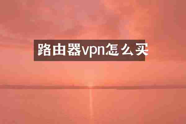 路由器vpn怎么买