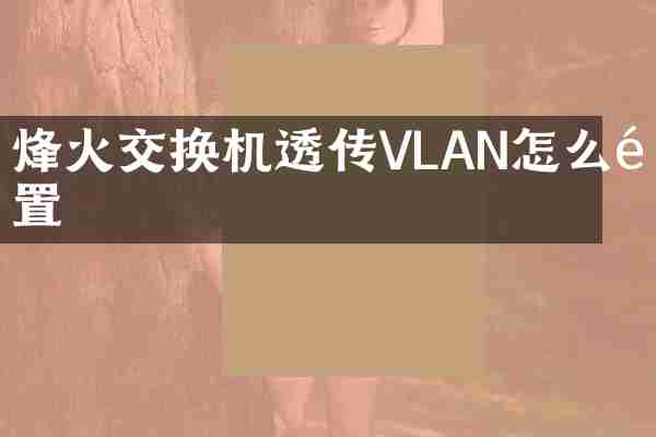 烽火交换机透传VLAN怎么配置