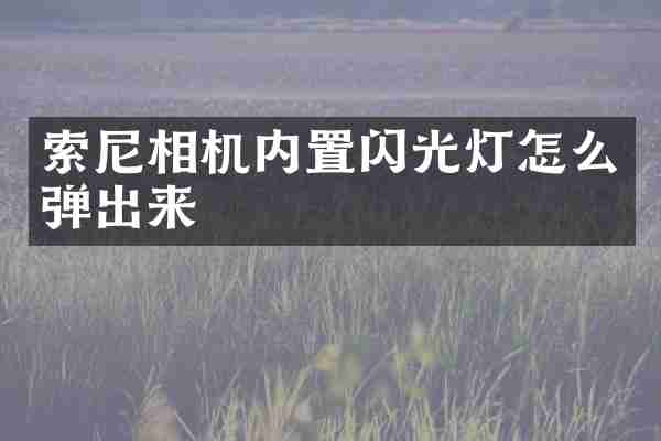 索尼相机内置闪光灯怎么弹出来