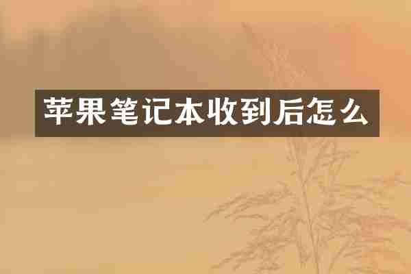 苹果笔记本收到后怎么