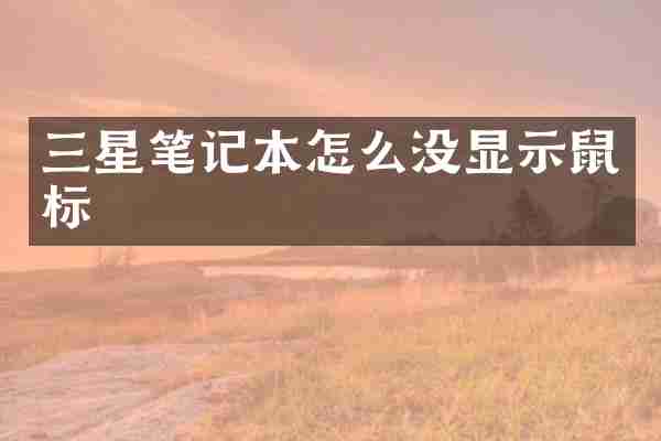 三星笔记本怎么没显示鼠标