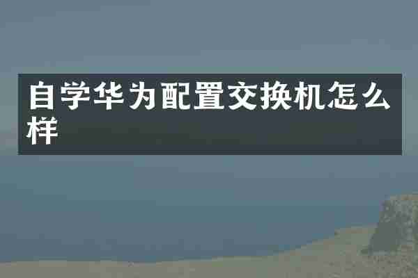 自学华为配置交换机怎么样