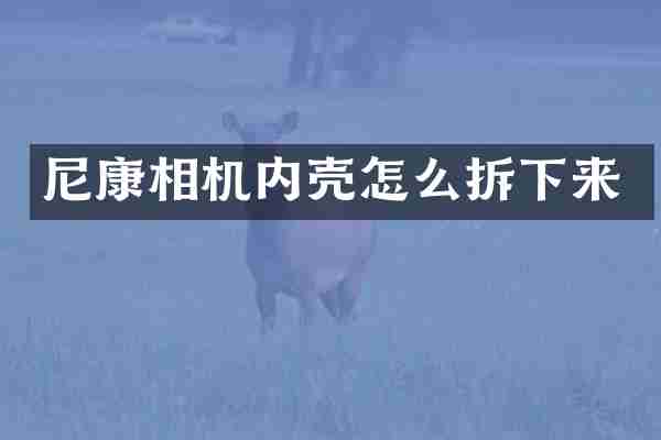 尼康相机内壳怎么拆下来