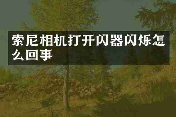 索尼相机打开闪器闪烁怎么回事