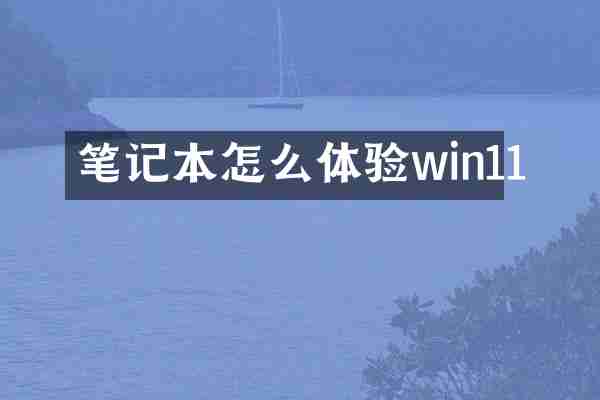 笔记本怎么体验win11