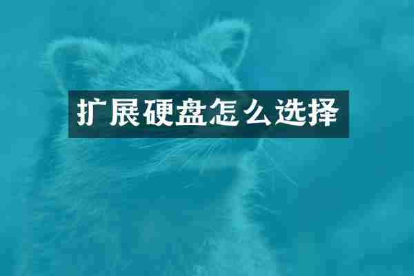 扩展硬盘怎么选择