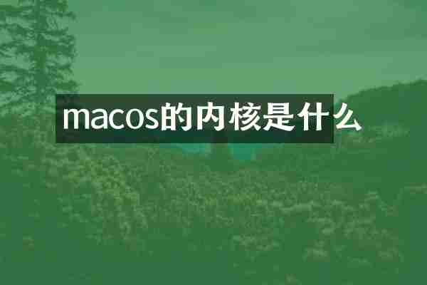 macos的内核是什么