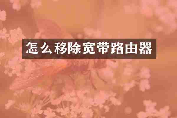 怎么移除宽带路由器