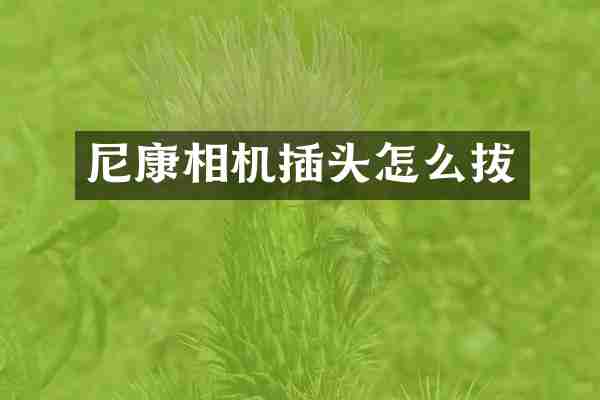 尼康相机插头怎么拔