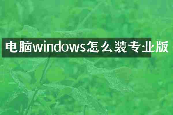 电脑windows怎么装专业版